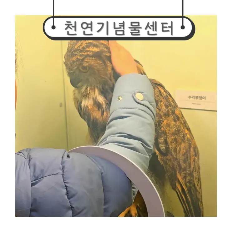 대전 실내 아이와 가볼만한곳 자연의 가치를 배우는 천연기념물센터