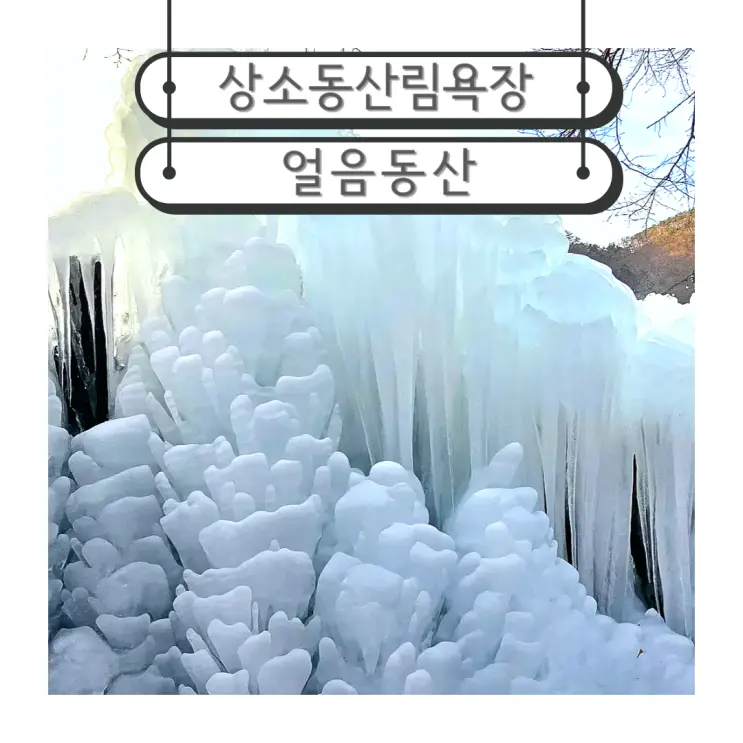 대전 겨울 가볼만한곳 얼음동산 상소동산림욕장