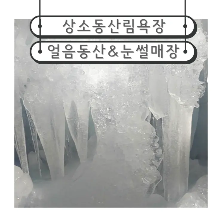 대전 겨울 가볼만한곳 상소동 산림욕장 얼음동산 눈썰매장