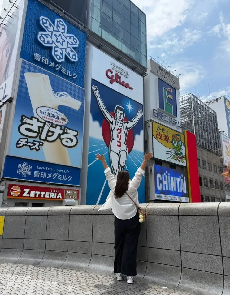 Osaka Amazing Pass Price Comparison: 1-Day vs. 2-Day Pass Recommendations, August Trip.com Kakao Pay Discount