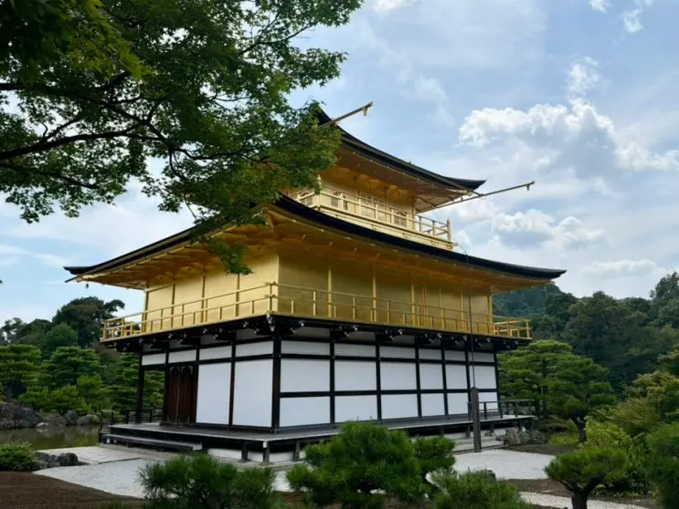 Kyoto Bus Tour Recommendation: Kiyomizu-dera, Arashiyama, Fushimi Inari Shrine, Myrealtrip Discount Booking Tips
