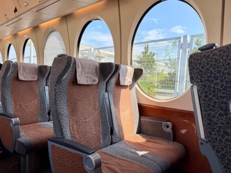 Kansai Airport Nankai Namba Rapit Express: Booking, Price Comparison, and How to Get the Best Deal on Trip.com