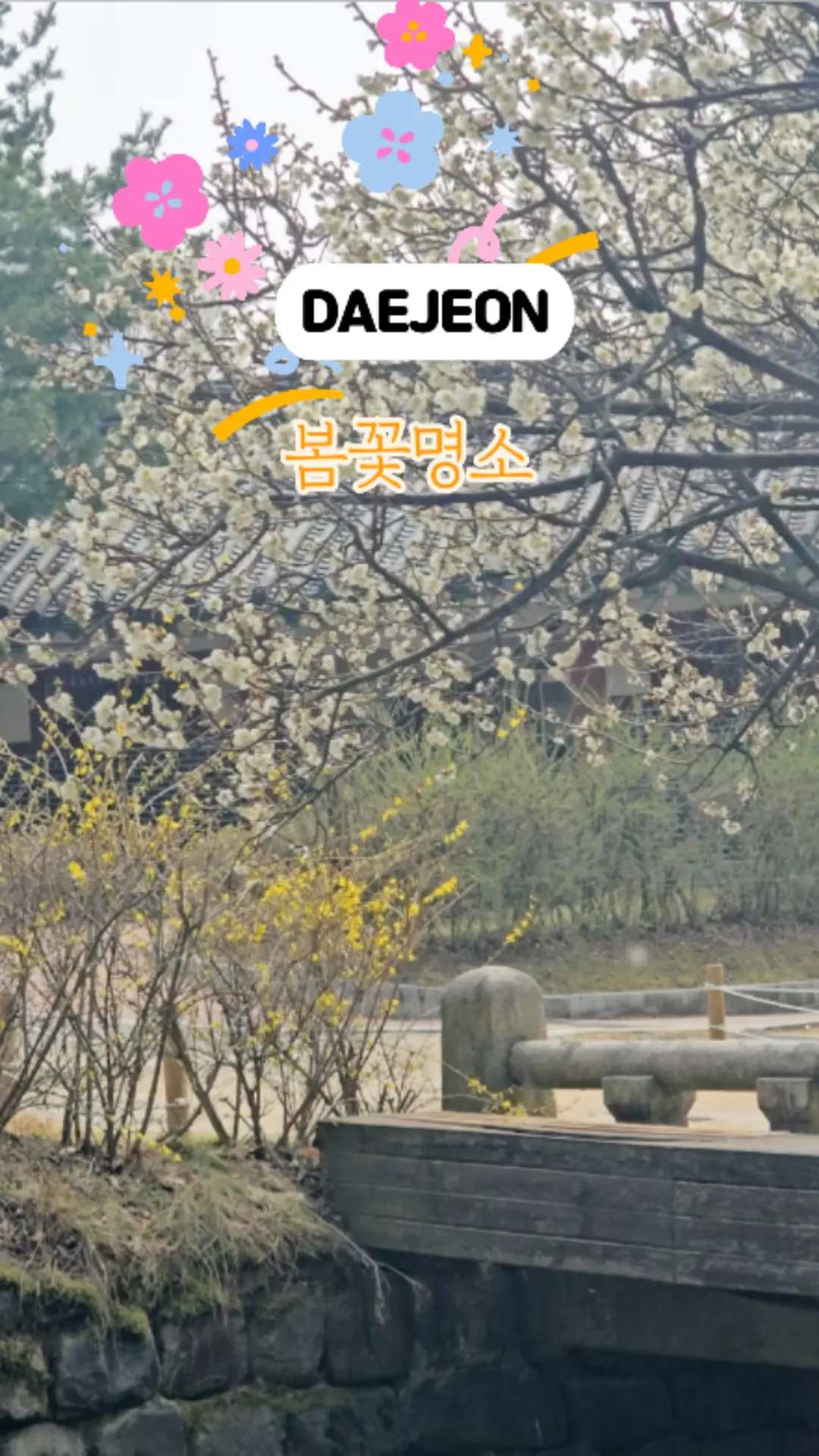 #大田春の花撮影 #大田春のお出かけ #儒岩史跡公園 #大田儒岩史跡公園梅 #大田春の花名所 #大田梅 #儒岩史跡公園フォトスポット #大田春の花開花状況 #大田お出かけ #大田春の散策コース #2025春の花 #大田デートコース #大田春の花儒岩史跡公園 #大田梅開花時期 #2025大田春の花名所 #儒岩史跡公園梅 #儒岩史跡公園桜 #儒岩史跡公園紅梅 #儒岩史跡公園山茱萸 #儒岩史跡公園木蓮 #大田春のお出かけスポット #大田紅梅白梅 #大田花見