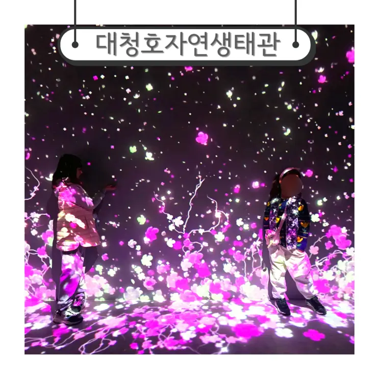 대전아이와가볼만한곳 미디어아트와 작은동물원 대청호자연생태관