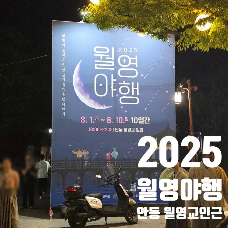 2025 월영야행 후기 안동 가족여행 가볼한한곳