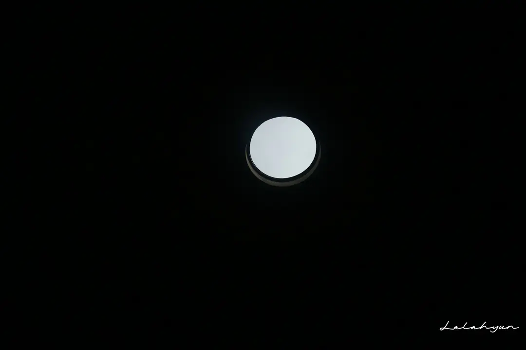 오쿨루스