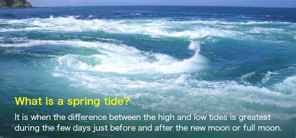 Tide table | Whirlpool Sightseeing Boat｜Enjoy an adventure to see the whirlpools of the Naruto Strait in Naruto, Tokushima!