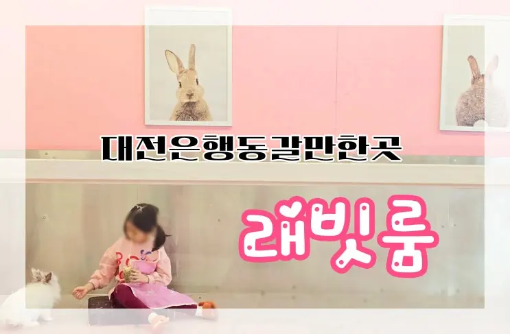 대전 은행동 놀만한곳 대전 은행동 이색데이트 아이와 실내 가볼만한곳[래빗룸]