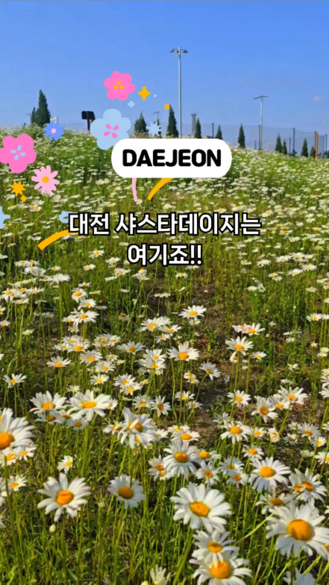 #중촌시민공원 #대전중촌시민공원#샤스타데이지 #중촌시민공원샤스타데이지 #대전샤스타데이지 #중촌동꽃길 #아이와가볼만한곳 #대전가족여행 #봄소풍장소 #아이와산책 #가족나들이추천 #5월가볼만한곳 #대전봄꽃 #대전꽃명소 #5월여행지추천 #꽃길산책 #봄꽃산책 #감성사진스팟 #피크닉하기좋은곳 #감성여행지 #클립챌린저