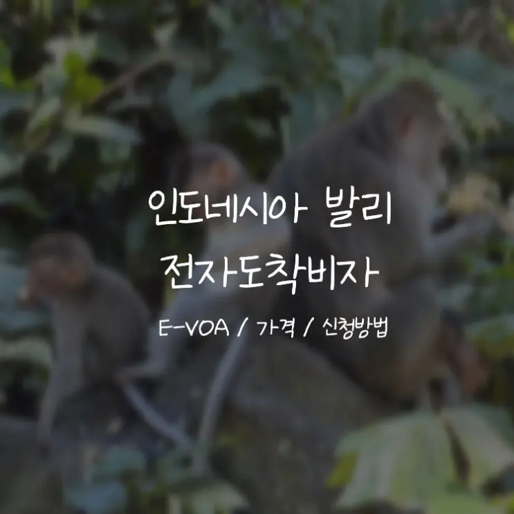 [인도네시아/발리]전자도착비자 E-VOA::2026 신청 방법·가격·주의사항 총정리