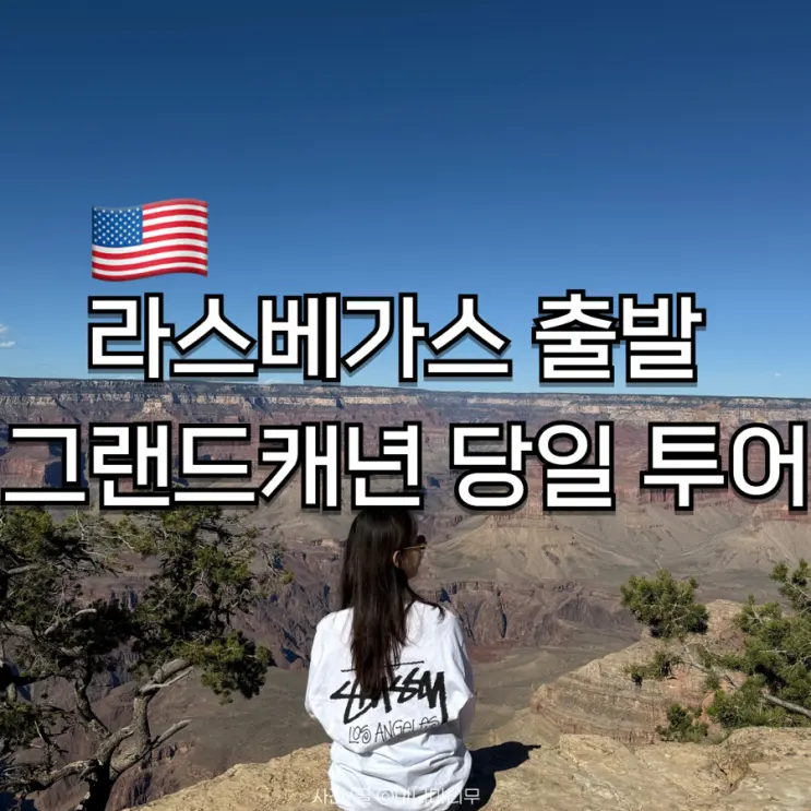 라스베가스 출발 그랜드캐년 당일 투어 | 가격 예약 일정 후기