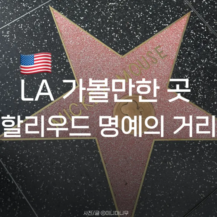 로스앤젤레스 | LA 가볼만한곳 할리우드 명예의 거리 | 돌비 극장 TCL 차이니즈 시어터