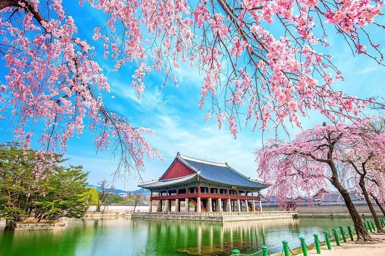 [트래블레이블] [서울] 경복궁 가이드 해설 투어