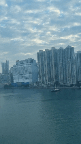 홍콩AEL 총정리, 좌석 뷰 추천, 1월 2월 홍콩 가볼 만한 곳