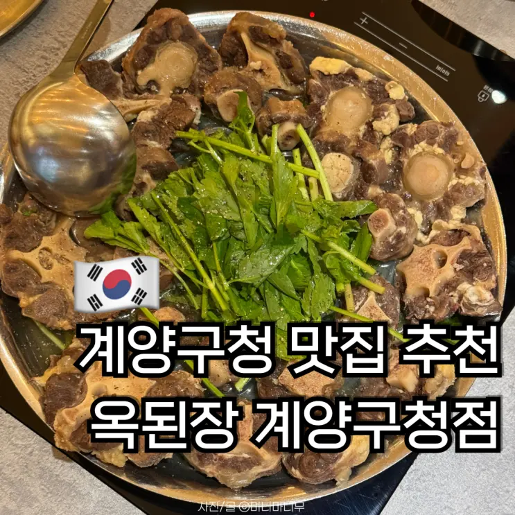 계양구청 맛집 추천 옥된장 계양구청점 | 소꼬리 전골 계산동 술집 내돈내산 후기