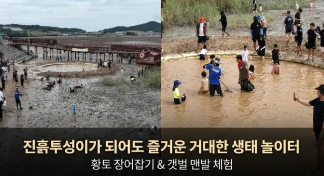 사진출처 무안군청 무안관광