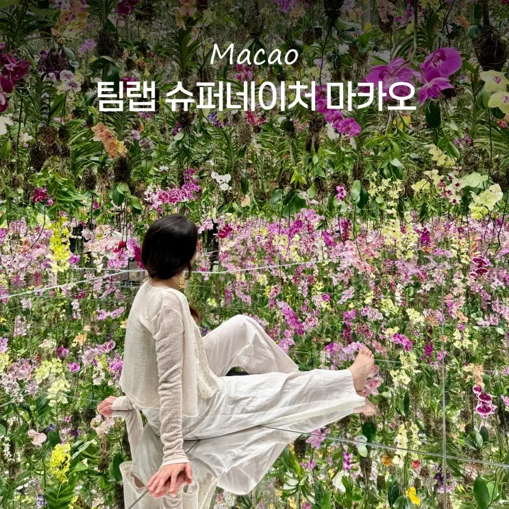 베네시안 마카오 호텔 가족여행 가볼만한곳 팀랩 슈퍼네이처 마카오