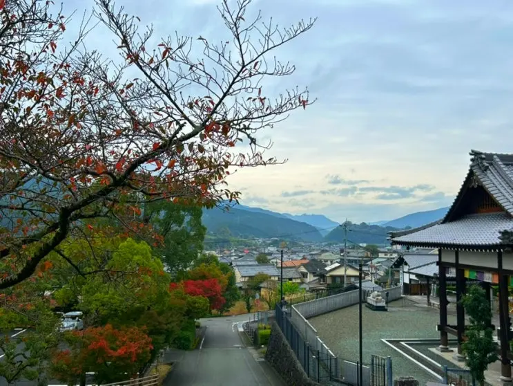 마쓰야마 근교여행 골목골목 구경하기 좋은 동네 우치코(Uchiko) JR전차 버스투어