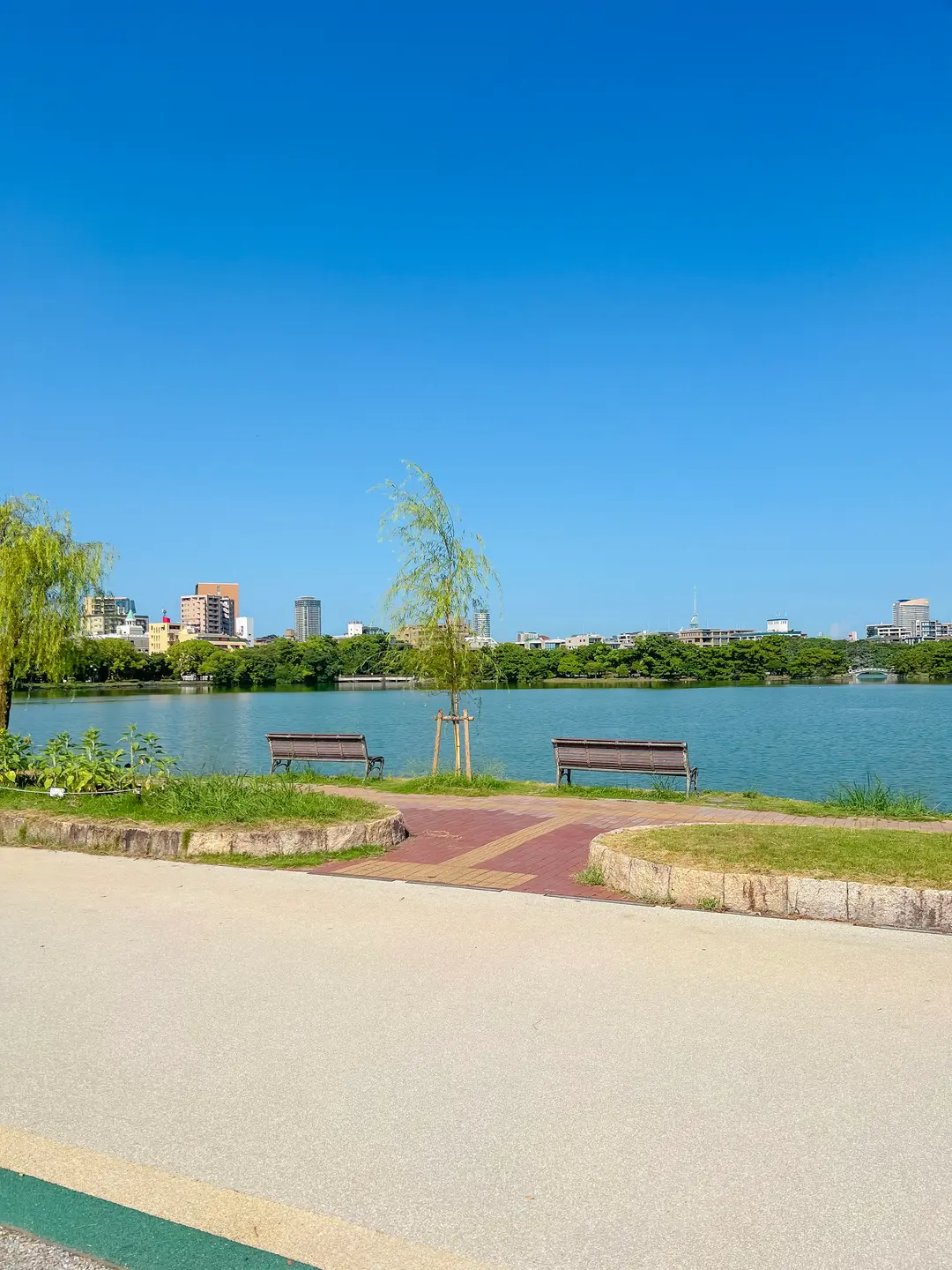 大濠公園の橋と水辺の風景