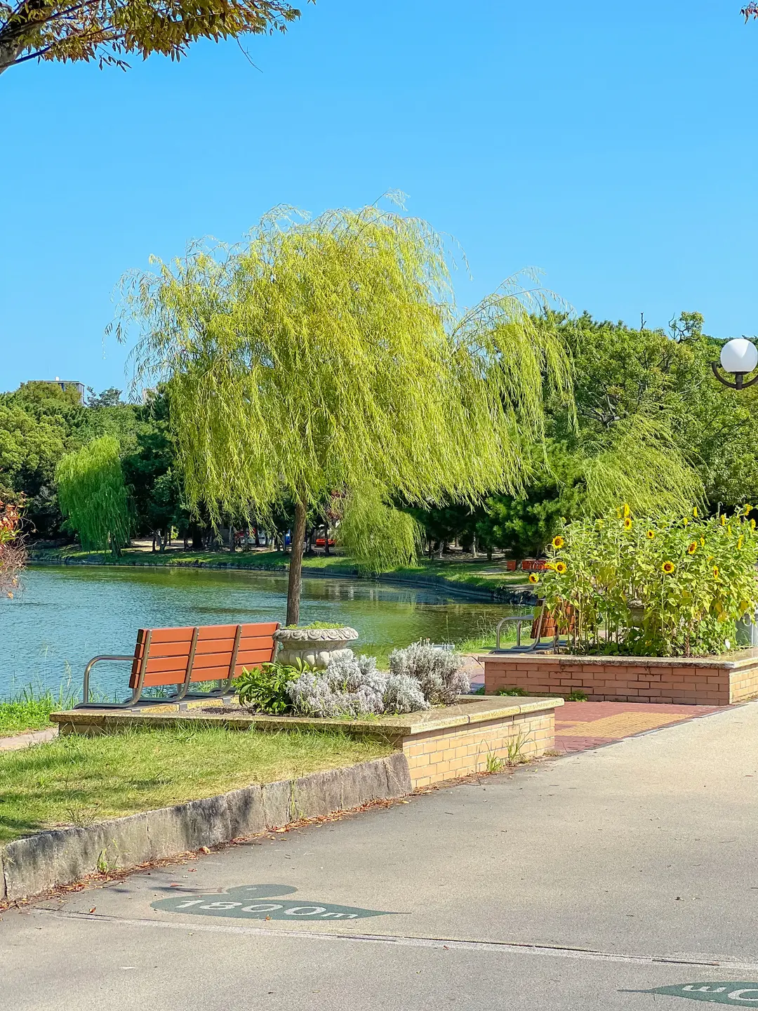 大濠公園の緑豊かな景色