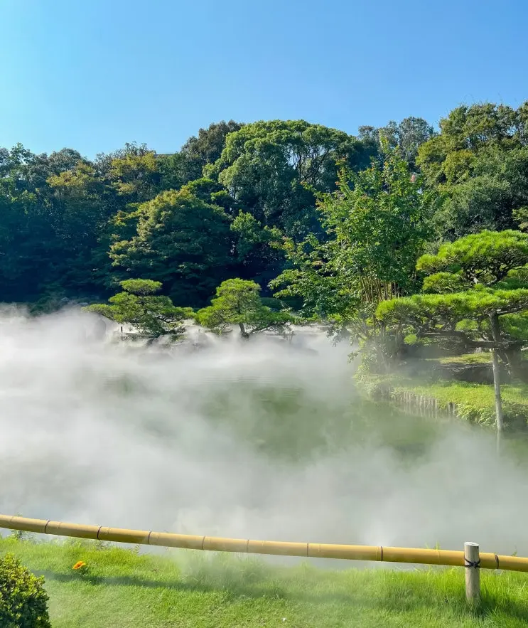 福岡旅行おすすめスポット 大濠公園日本庭園 茶道体験 予約 夜間