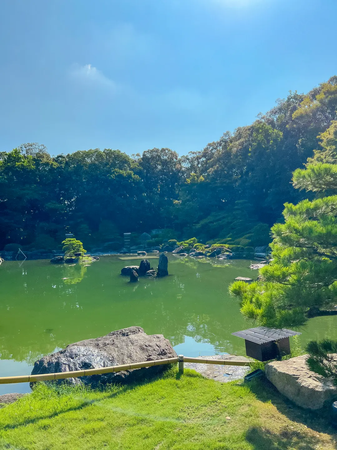 大濠公園日本庭園の美しい池