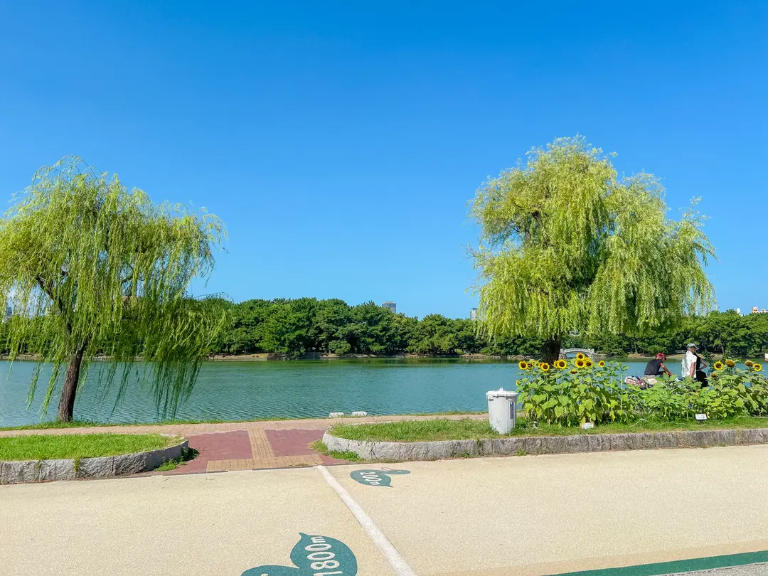 大濠公園の池と橋