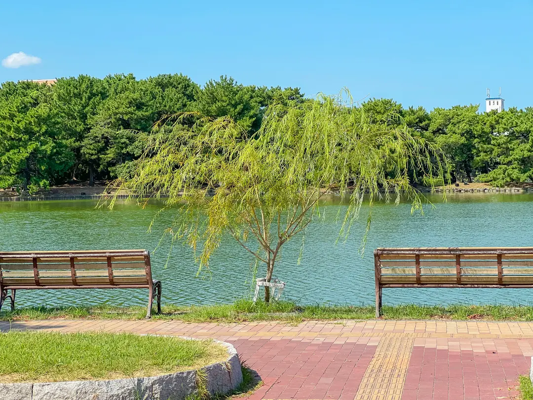 大濠公園の散策路