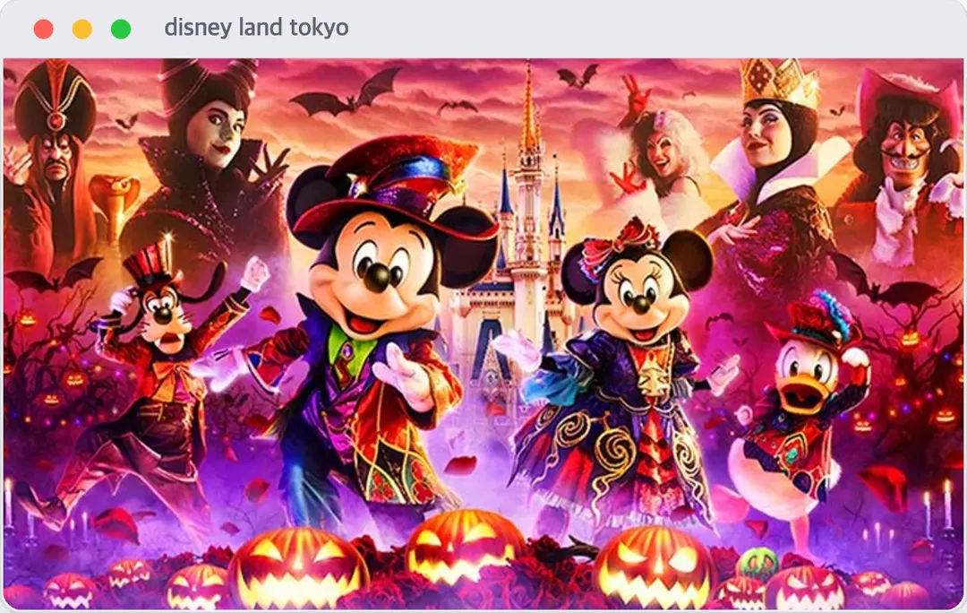 ที่มา: Tokyo Disney Resort