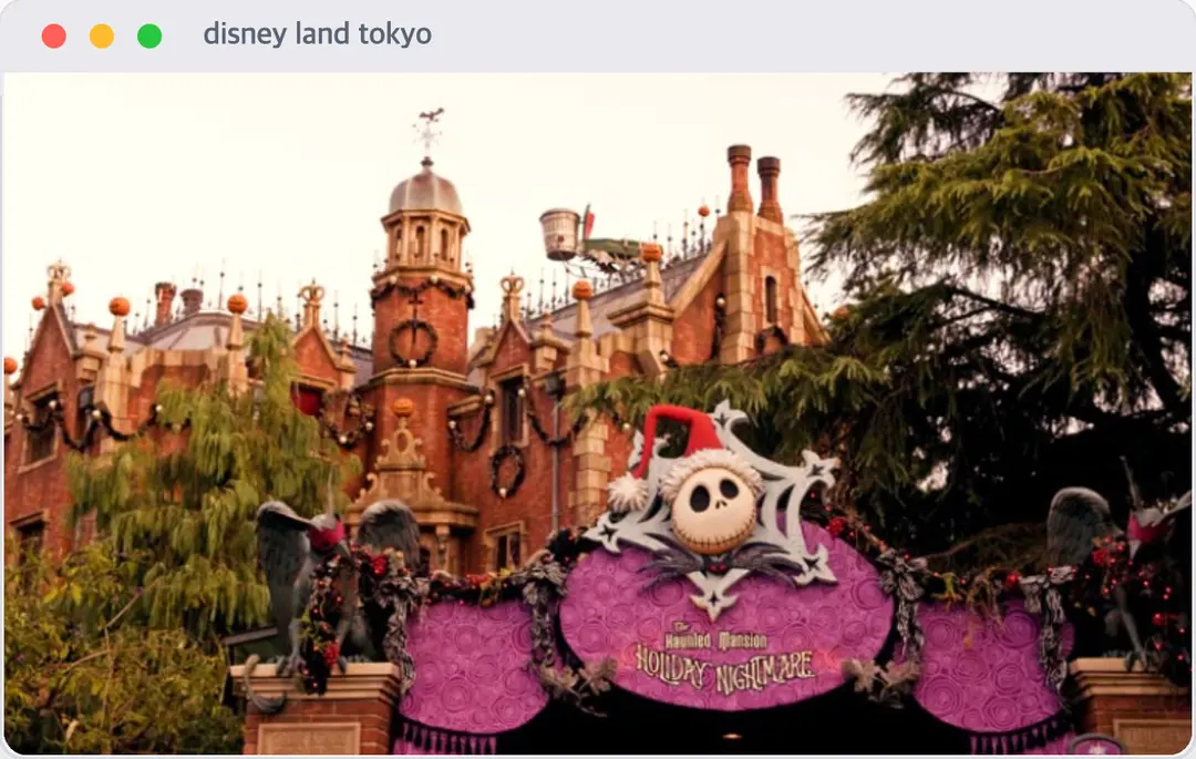 ที่มา: Tokyo Disney Resort