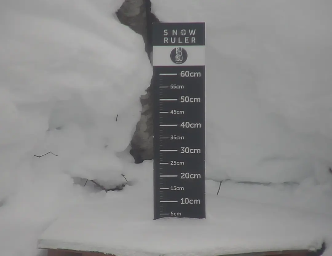 Image showing Rusutsu Resort snowfall data