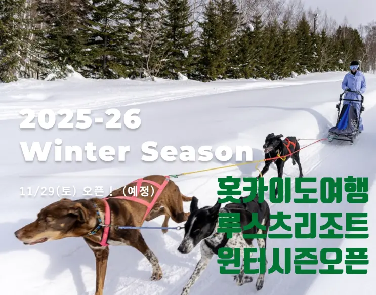 北海道旅遊 札幌滑雪場 留壽都度假村開放資訊