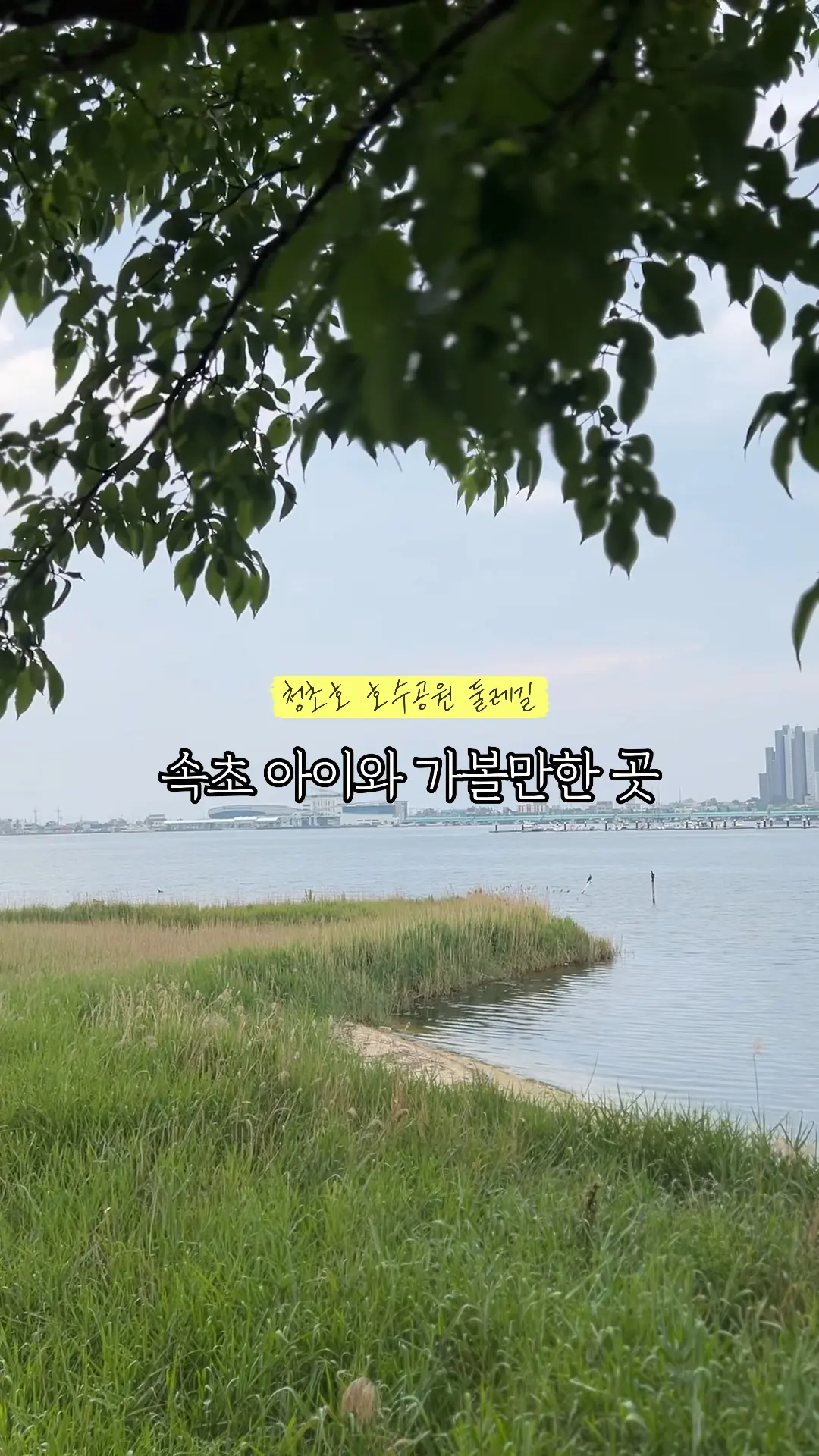 #今日景點精選 #束草旅行 #清草湖 #清草湖湖水公園 #親子同遊 #適合親子的景點 #親子韓國國內旅行 #夏季旅遊景點 #束草必訪景點 #家庭旅行