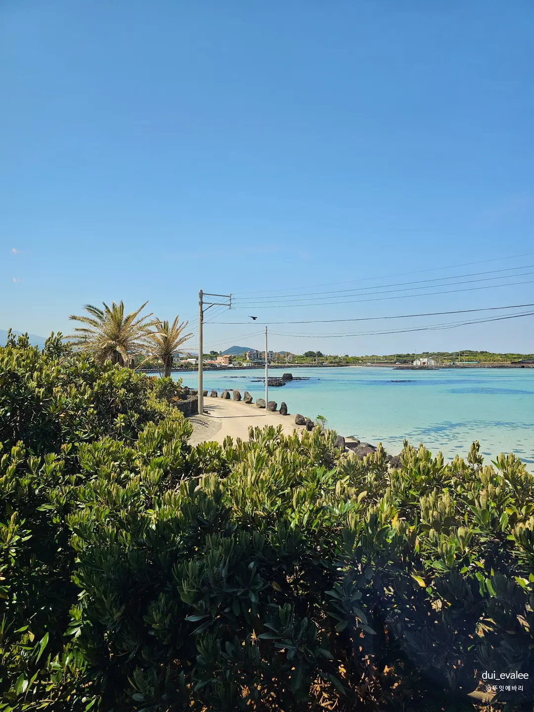 Mapis 咖啡廳海景