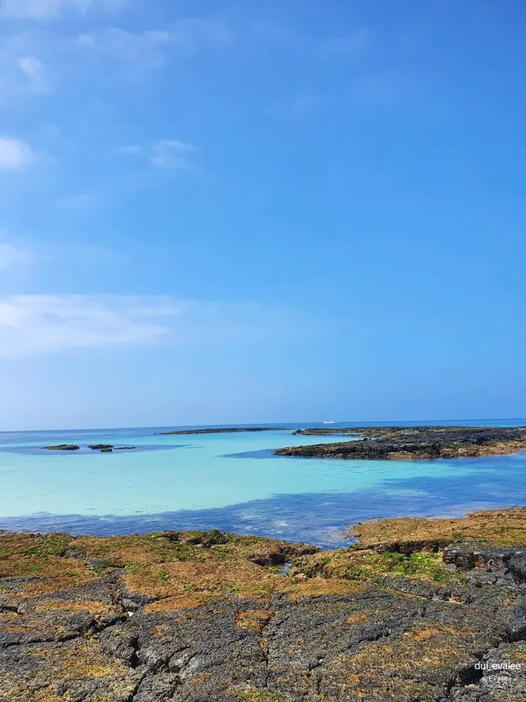 제주 코난비치 스노클링 완벽 가이드! 물때 맞추면 숨은 천국 열린다
