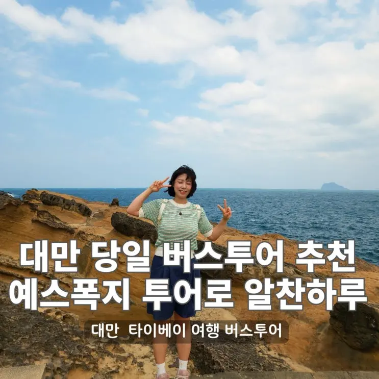 대만 버스투어 예스폭지, 만원으로 하루만에 다녀온 솔직 후기