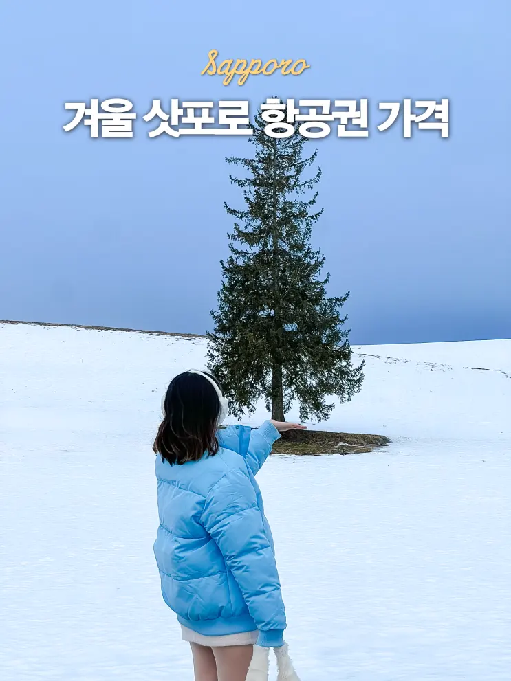 겨울 삿포로 항공권 가격 인천 부산 특가 땡처리