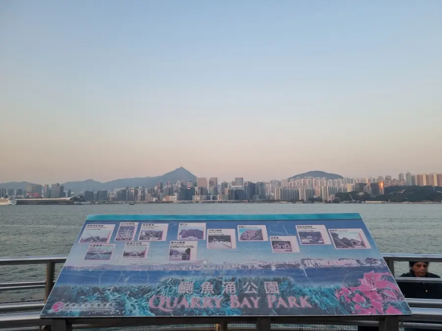 구룡 지구의 뷰를 제대로 볼 수 있는 쿼리베이 파크