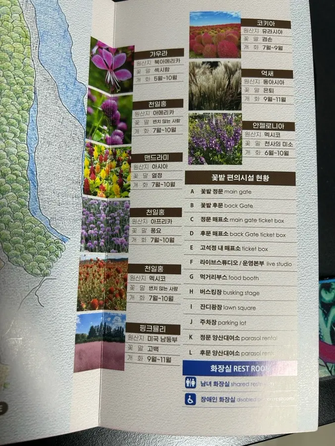 Goseokjeong Flower Garden 2026 Autumn Flowers