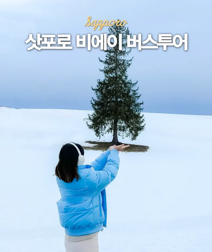 Sapporo Biei Tour Booking: Bus & Ningle Terrace Comparison