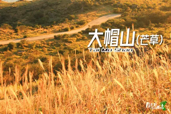 大帽山 Tai Mo Shan