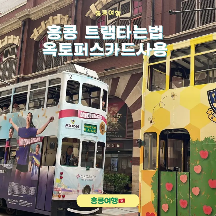 Navigating Hong Kong: How to Ride the Tram & Use Your Octopus Card!
