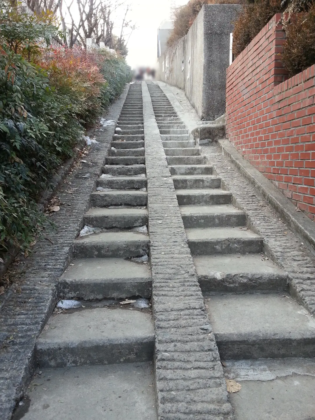 3·1萬歲運動路
