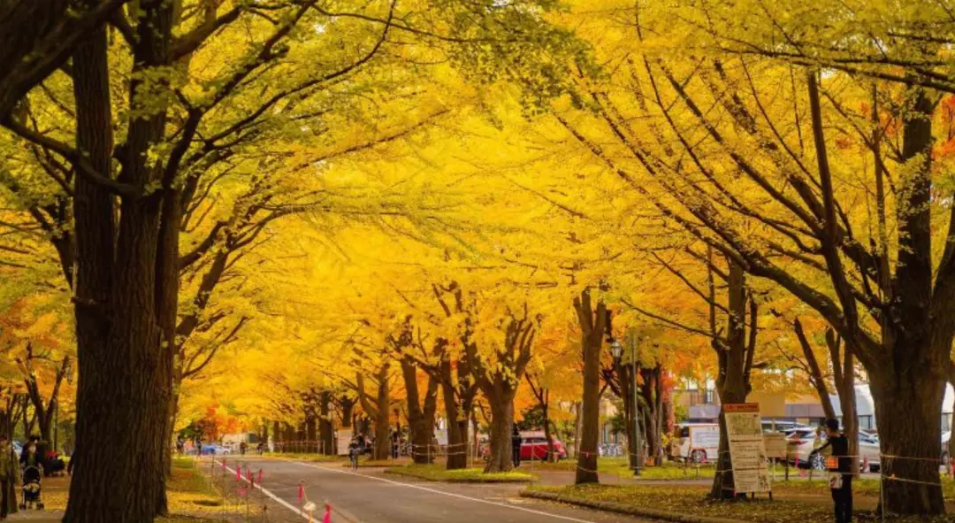Source: Hokkaido Tourism Bureau