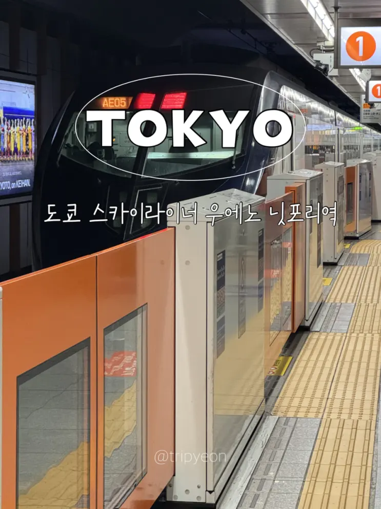 도쿄 스카이라이너 왕복 티켓 시간표 메트로패스 72시간