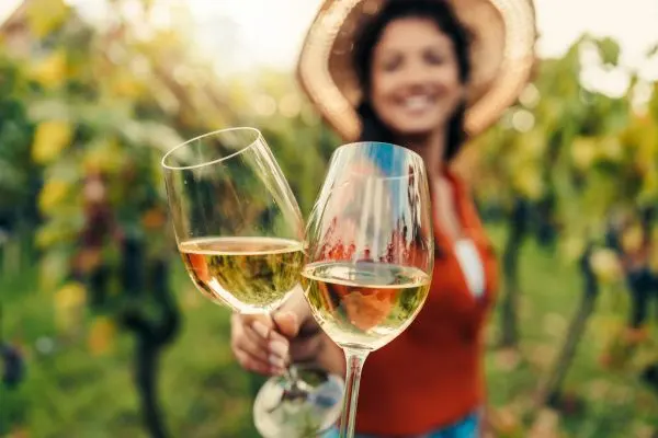 Napa Valley & Sonoma Wine Tasting Half-Day Tour | San Francisco