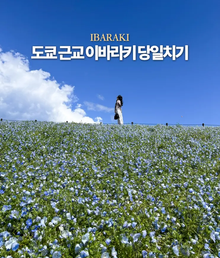 도쿄 근교 소도시 이바라키 여행 당일치기 코스 가볼 만한 곳