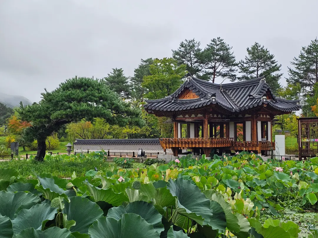 국립세종수목원 한국전통정원