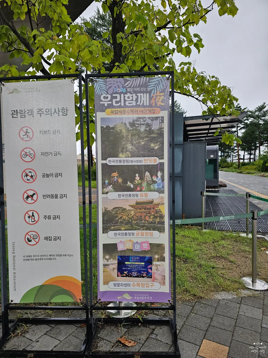 10월 31일까지 야간개장이 이어져요!