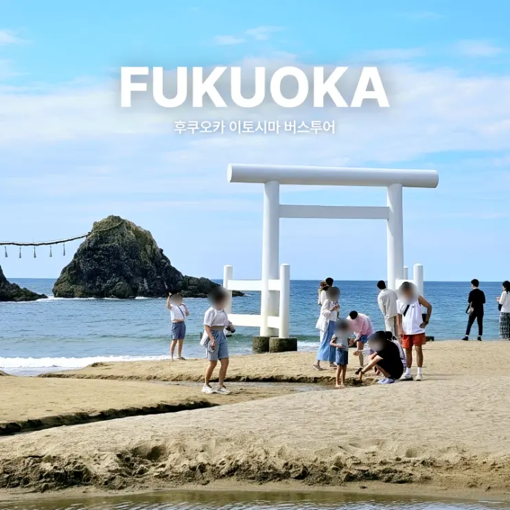 Fukuoka Itoshima Bus Tour Recommendation: Beach, Salt Pudding, Half-Day Itinerary